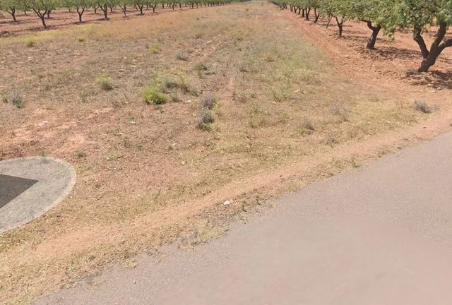 FINCA RUSTICO SECANO EN VILLAFAMES ACCESO POR CAMINO ASFALTADO — 2
