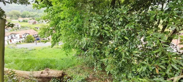 FINCA URBANA EN ZONA TRANQUILA Y ENTORNO PRIVILEGIADO.- — 5