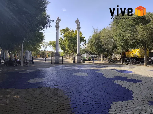 Una terraza para disfrutar en pleno centro de Sevilla - foto 2
