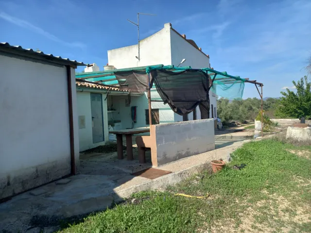OCASION FINCA RUSTICA DE REGADIO CON VIVIENDA A 1,5 kM. DE MORA D´EBRE — 24