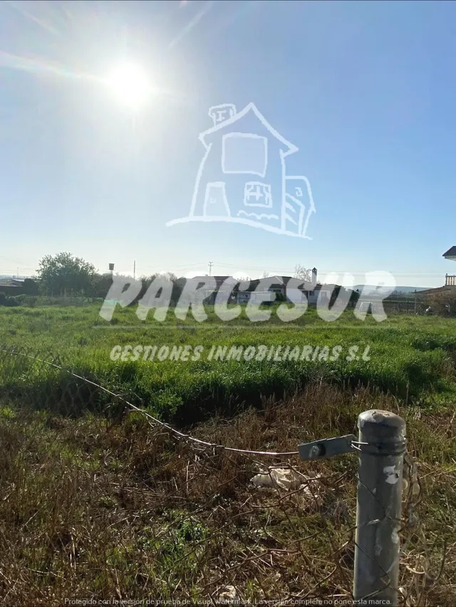 TERRENO 1500m2 ZONA CTRA AEROPUERTO - foto 4