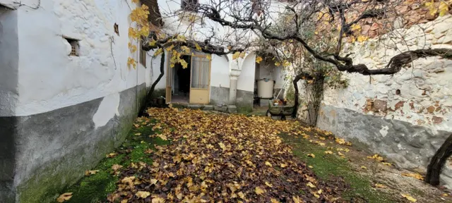 CASA EN VENTA EN PEDROCHE — 8