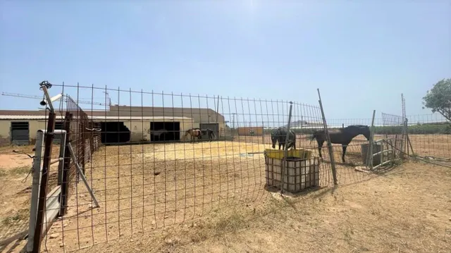 Local comercial 60m² en venta - Jerónimo Y Avileses — 17