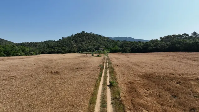 Masía histórica para rehabilitar con 19 hectáreas de terreno – Tossa de Mar — 10