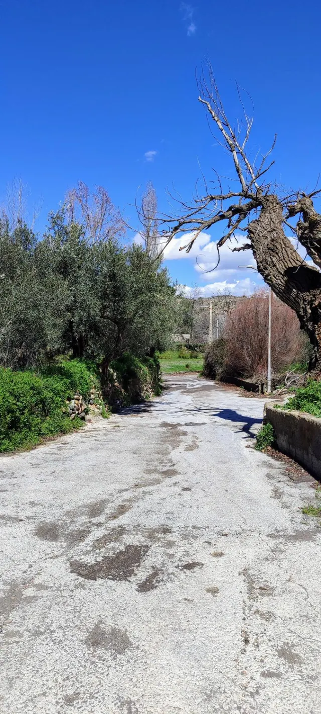 SERÓN ( ALMERÍA ). VENTA DE CASA DE CAMPO DE UNA PLANTA CON 3 habitaciones Y GARAJE PARA 2 VEHÍCULOS. — 27