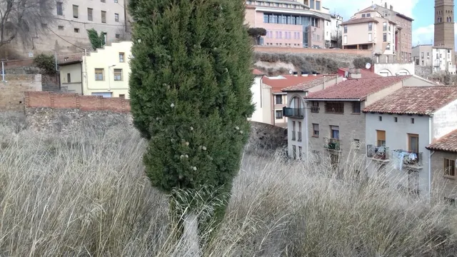 Venta de solar urbano. 2.488 m2 - foto 2