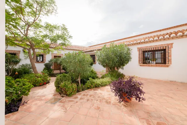 Casa de Campo Reformada en Villanueva de la Concepción: Paz, Elegancia y Vistas Únicas — 17