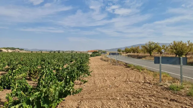 Terreno rústico para proyecto en Pinoso (Alicante) — 4
