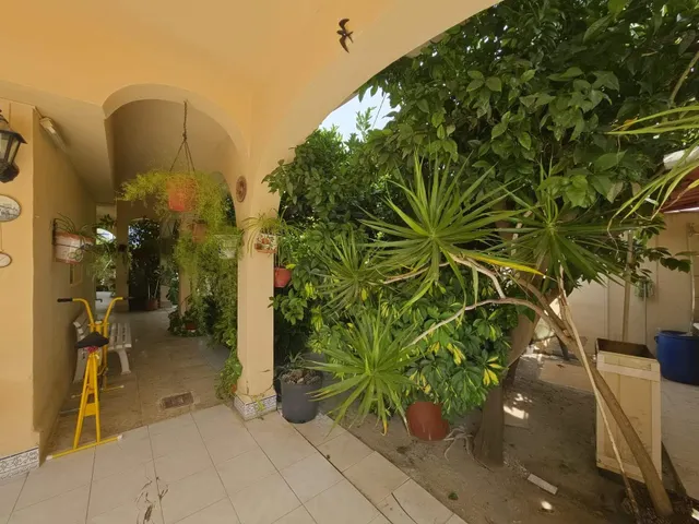 Elegante Casa de Alquiler en Playa Muchavista - El Campello — 25