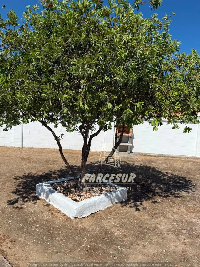 Casa de Campo en Cuevas Bajas, Córdoba. NO HIPOTECABLE - foto 4