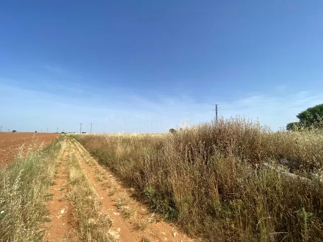 Parcela rústica con acceso directo por camino