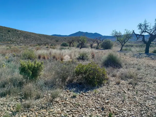 SE VENDE PARCELA EN LA SOLANA DE HONDON DE LOS FRAILES — 2