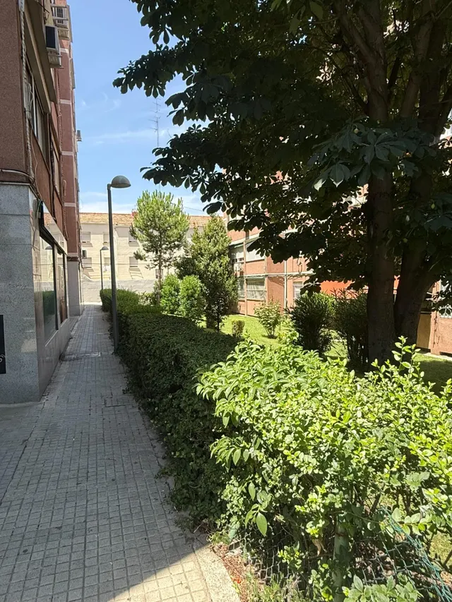 Oportunidad en Pinar del Rey: Piso de 3 dormitorios para reformar. — 17