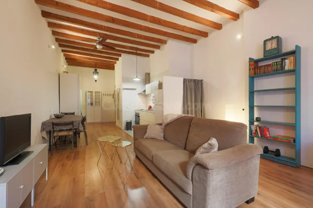 Fantastico loft con terraza Cerca del Palau de la Musica — 3
