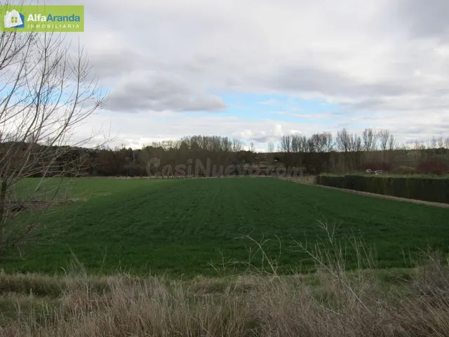 TERRENO RUSTICO - foto 2
