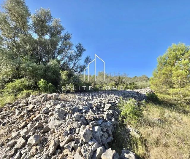 EXCLUSIVA PARCELA DE 17.000M2 EN SAN JORDI - foto 5