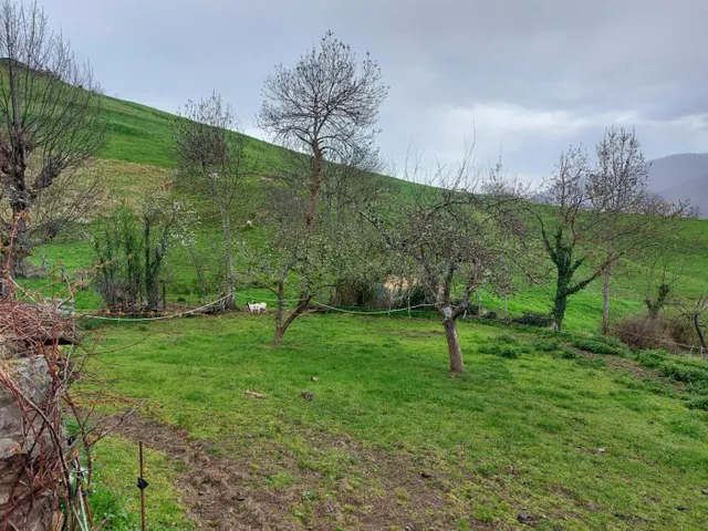 Casa con parcela en Picos de Europa - foto 4