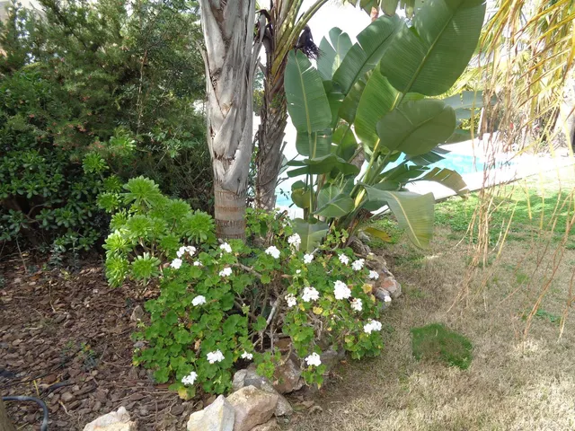 Chalet 4 habitaciones 350m² en venta - Costa del Sol — 22