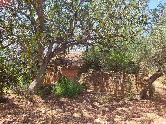 MASIA PARA REFORMAR CON TERRENO EN TÉRMINO DE VALL D'ALBA, LUZ Y AGUA CERCA — 17