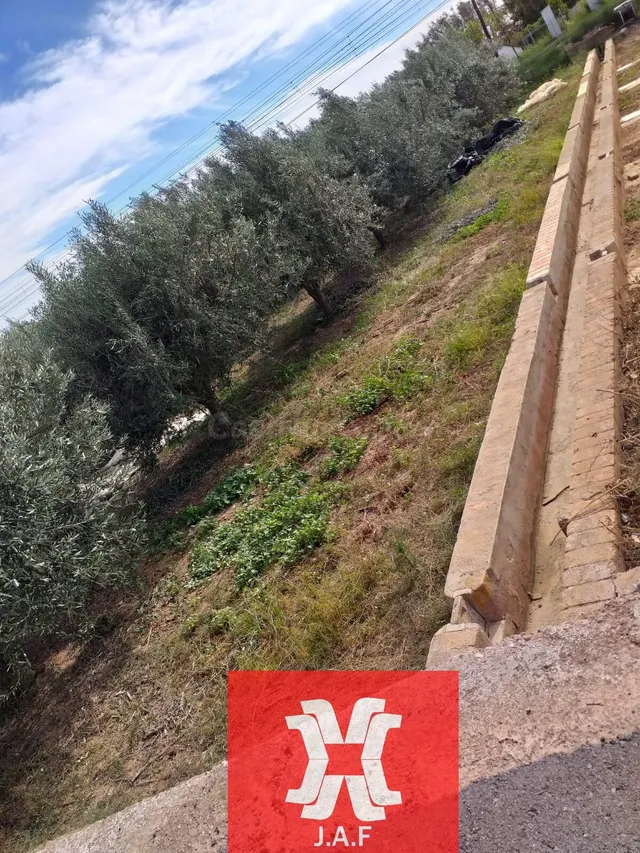 TERRENO DE OLIVERAS A LA VENTA EN MONCADA - foto 2
