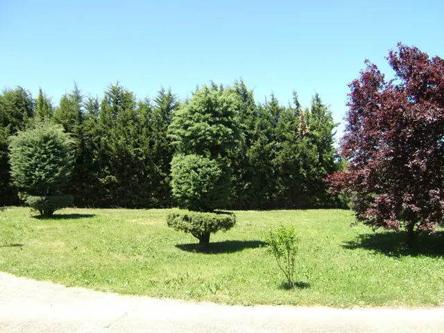 Casa 2 habitaciones 84m² en venta - Grijota — 19