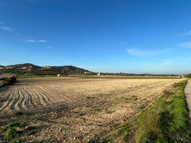 Finca rústica en Porreres en venta - foto 3