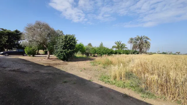 SE VENDE CASA DE CAMPO CON 42.000 M2 DE PARCELA. — 15