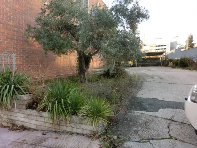 Edificio Industrial en venta — 19