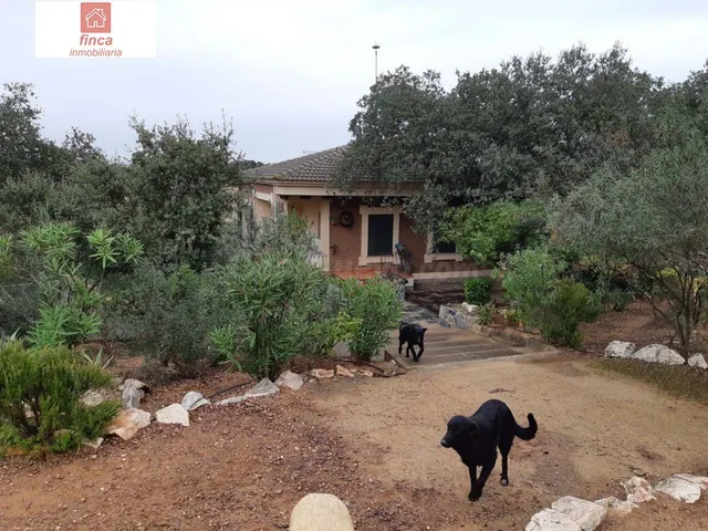 CRTA MONTIJO-LA NAVA, CHALET LEGALIZADO RUSTICO 6HA OLIVOS,  - foto 5