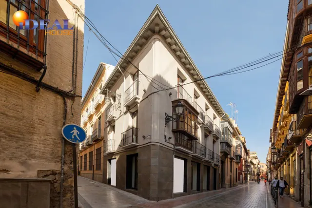 VENTA-ALQUILER DE EDIFICIO SINGULAR EN ESQUINA SAN MATIAS-NAVAS — 50