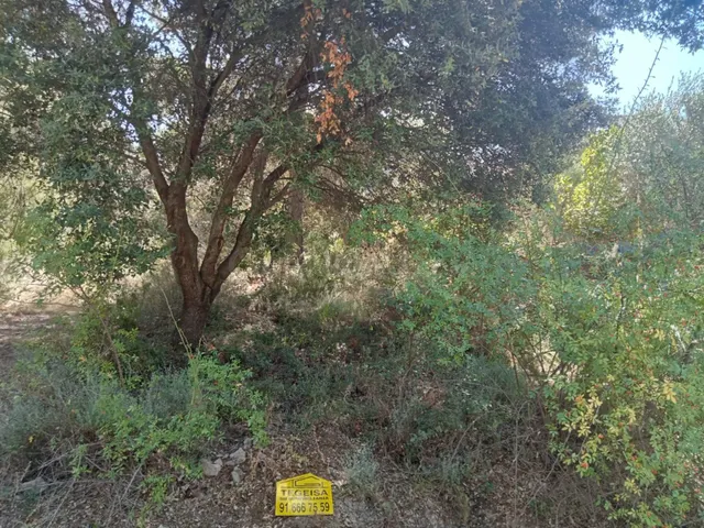 Tegeisa vende Parcela semillana de 741m2 - foto 5