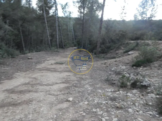 OPORTUNIDAD DOS PARCELAS A LA VENTA EN OLLERIA — 4