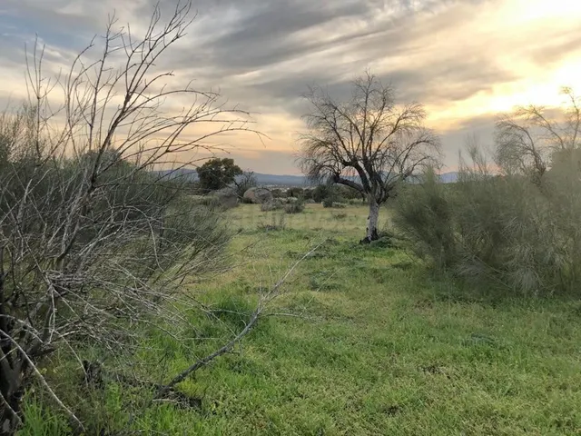 Bonita parcela en Aldea del Cano. - foto 2