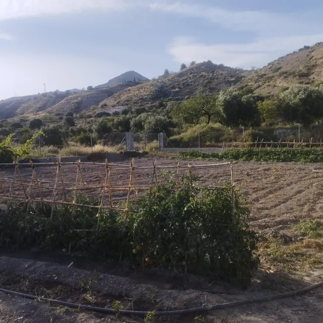 LÚCAR( ALMERÍA ). VENTA DE CORTIJO CON TERRENO. — 12
