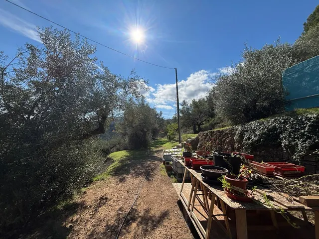 Espectacular finca rústica de 9,7 hectáreas con vivienda, piscina y vistas al Parque Natural dels Ports — 9
