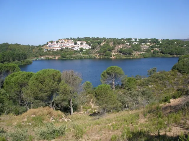 LAS JARAS — 2