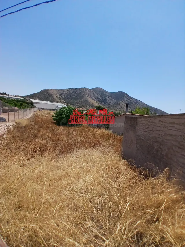 ¡¡ OCASIÓN, VENTA EN EXCLUSIVA, PARCELA URBANA EN ALGUEÑA 1. - foto 4