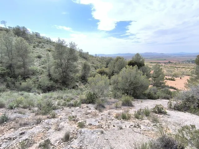Parcela 999m² en venta - Ayuntamiento — 13
