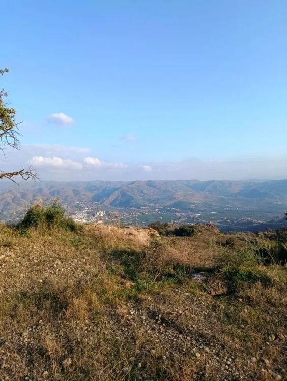Parcela en venta - Alora pueblo — 10