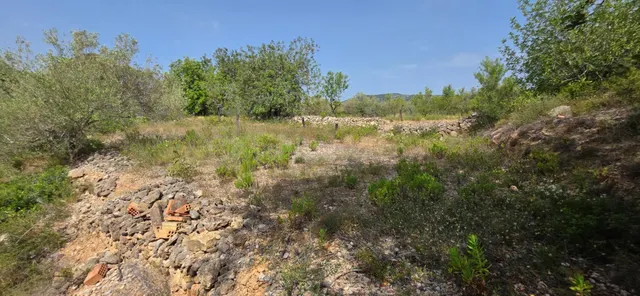 Finca rústica con encanto cerca de El Perelló – 23.000 m2 de naturaleza y tranquilidad — 4