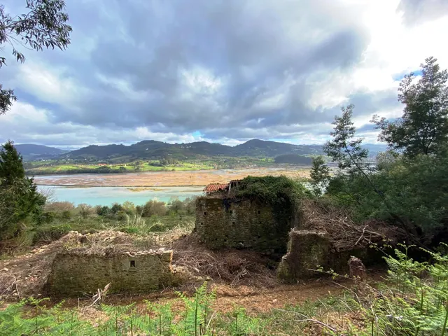 EXCLUSIVA PROPIEDAD CON VISTAS A LA RIA Y 70 HECTAREAS DE TE - foto 5