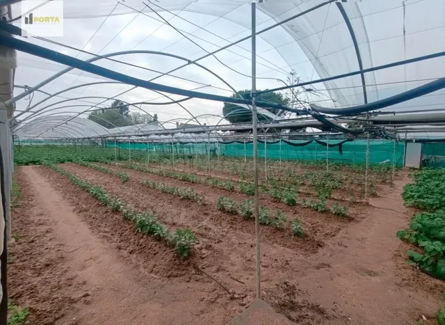 LISTO PARA FUNCIONAR - foto 2