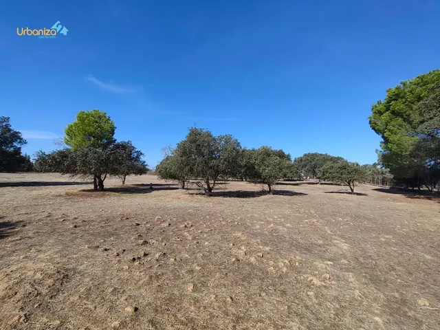 Parcela en tres arroyos totalmente vallada con pozo, portera de entrada y  2 acometidas de luz — 20