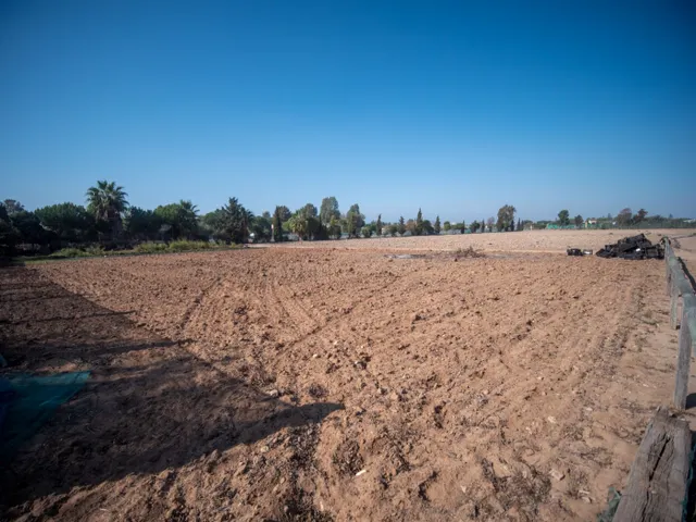 FINCA RÚSTICA CON ARBOLES FRUTALES Y CUADRA DE CABALLOS — 11