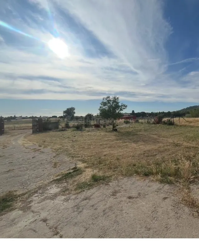 VENTA DE PARCELAS RUSTICAS EN EL PRADILLO