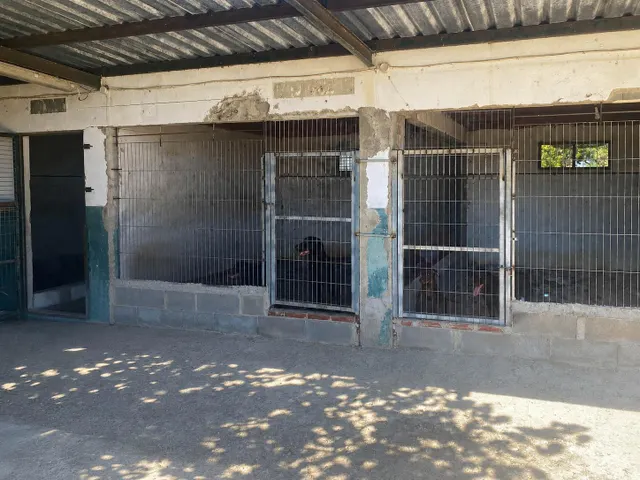 FINCA RUSTICA EN DELTEBRE — 12