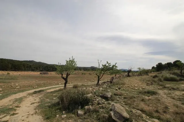 Villa 1 habitación 115m² en venta - Comunidad valenciana — 24
