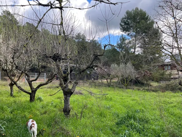 VENTA DE TERRENO EN EL BRUC - URB MONTSERRAT PARK (BARCELONA) — 9