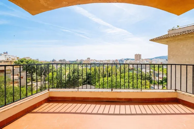 Gran piso señorial con terraza en el centro de Palma