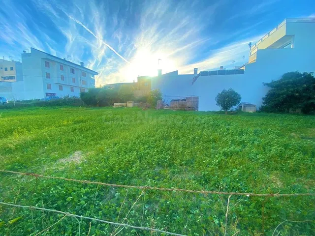 Terreno extenso en Santa Margalida, oportunidad única - foto 3
